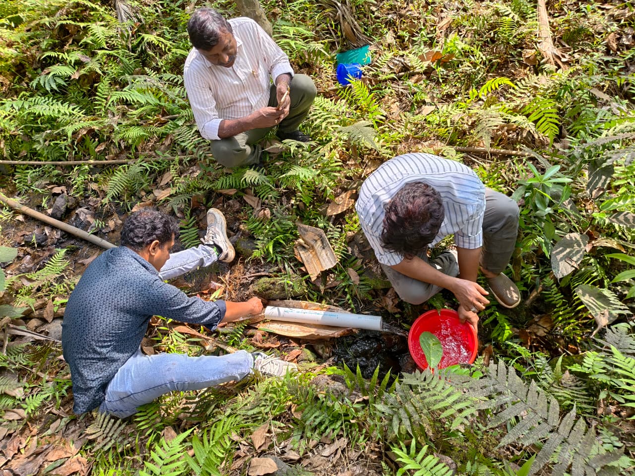 Co-Operative Arts and Sceince College Palakkad