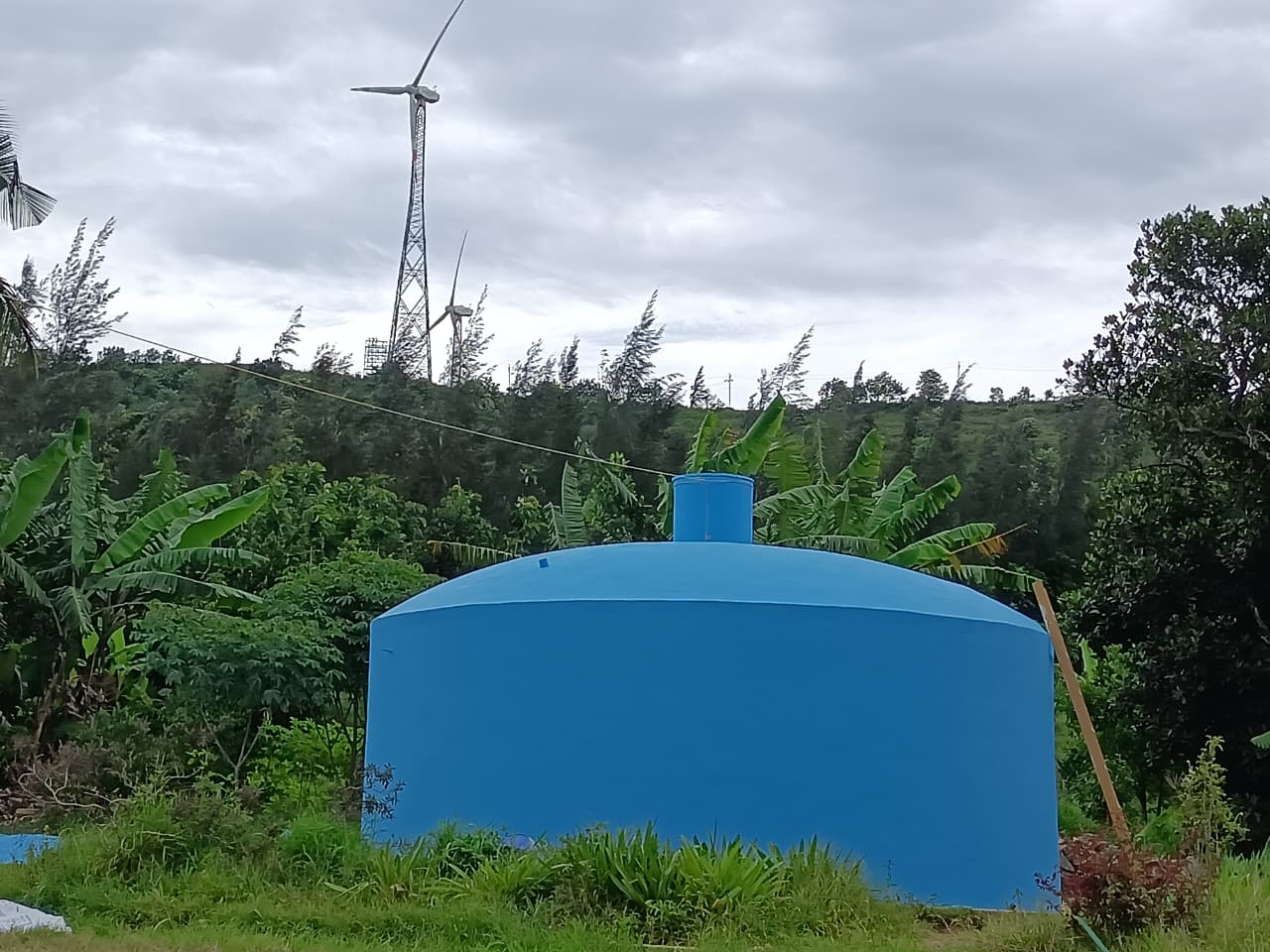 Co-Operative Arts and Sceince College Palakkad