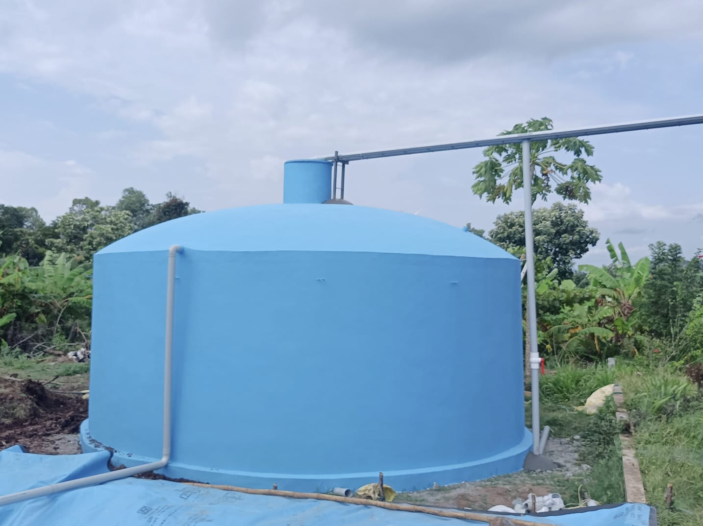 Co-Operative Arts and Sceince College Palakkad